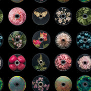 CD Discs Wallpaper Floral Collage Iridescent Holographic Decorative Mural design