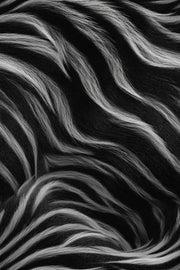 Zebra Wallpaper Animal Print Removable Black And White Wall Double Roll design