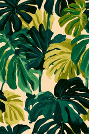 Tropical Leaves Wallpaper Monstera Botanical Decorative Mural design