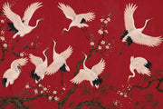 Cranes Wallpaper Cherry Blossoms Red Background Wall Mural design