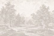 Cloudy Sky Wallpaper Overcast Gray Removable Wall Decor design