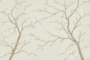 Cherry Blossoms Wallpaper Flowering Branches Ivory Background Wall Mural design