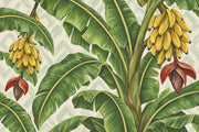 Banana Leaves And Bananas Wallpaper Painterly Tropical Wall Mural design