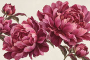 Large Peony Wallpaper Muted Green Leaves Wall Mural design