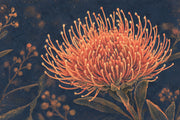 Orange Botanical Bloom Wallpaper Dark Floral Wall Mural design