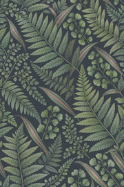 Fern Leaves Wallpaper Dark Botanical Charcoal Background design
