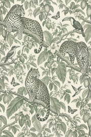 Jaguar And Toucan Wallpaper Vintage Tropical Toile In Sage Green design