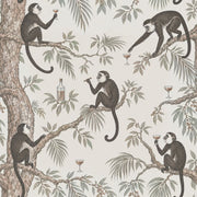 Monkeys And Tropical Branches Wallpaper Muted Green Vintage Botanical design