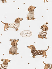 Dachshund Dogs In Knit Sweaters Wallpaper White Background design