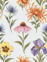 Botanical Wildflower Wallpaper White Background design