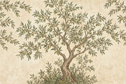 Olive Tree Wallpaper Vintage Fresco Wall Mural design