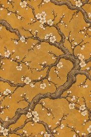 Cherry Blossoms Wallpaper Floral Branches On Gold Background design