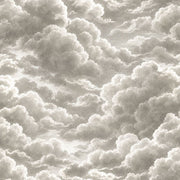 Cloudscape Wallpaper Vintage Gray Sky design