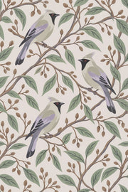 Perched Birds Wallpaper Sage Branches On Ivory Background design