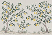 Lemon Tree Wallpaper Watercolor Citrus Orchard Wall Mural design