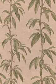 Bamboo Stems Wallpaper Sage Green Dusty Pink Botanical design