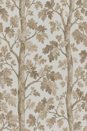 Oak Leaves Wallpaper Watercolor Tree Branches In Neutral Beige design