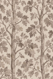Oak Leaves And Tree Trunks Wallpaper Neutral Watercolor Botanical design