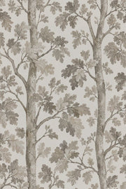 Oak Tree Trunks Wallpaper Neutral Watercolor Forest design