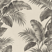 Tropical Leaves Wallpaper Grayscale Banana Leaf Ivory Background design