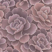 Oversized Rose Petal Wallpaper Dark Floral In Blush And Plum design