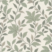 Leafy Vines Wallpaper Sage Green On Cream Background design