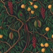 Tropical Bird And Fruit Wallpaper Dark Botanical Illustration design