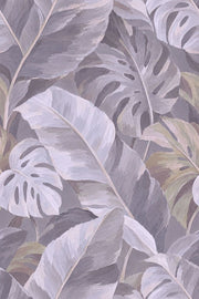 Muted Monstera Leaves Wallpaper Painterly Gray Foliage design