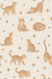 Watercolor Tabby Cats Wallpaper On Cream Background With Gold Stars design