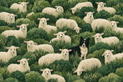 Sheep And Border Collie Wallpaper Mural Watercolor Green Foliage design