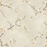 White Blossom Branches Wallpaper Cream Beige Watercolor design