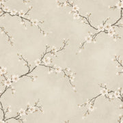 White Cherry Blossom Branches Wallpaper Cream Beige Background design