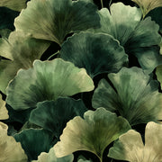 Dark Botanical Wallpaper Ginkgo Leaves Green Foliage Removable Wall Decor design