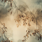 Moody Nature Wallpaper Tree Branches Autumn Leaves Decorative Mural design