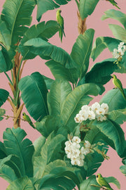 Pastel Pink Tropical Floral Botanical Wallpaper design