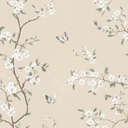 Beige Cherry Blossom and Butterfly Wallpaper design