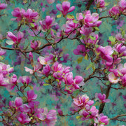 Vibrant Teal and Pink Magnolia Blossom Wallpaper design