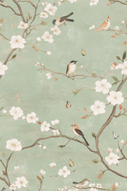 Soft Sage Green Cherry Blossom Bird Wallpaper design