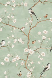 Sage Green Cherry Blossom and Bird Wallpaper design