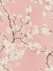 Blush Pink Cherry Blossom Floral Wallpaper design