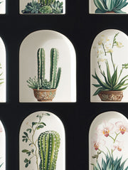 Black and Green Cactus Arched Botanical Wallpaper design