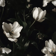 Ivory Tulip Elegance on Black Wallpaper design