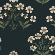 Cream Cherry Blossom Pattern on Black Wallpaper design