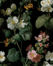 Dark Floral Wildflower Botanical Wallpaper design