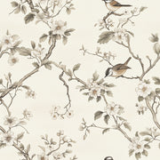 Cream Cherry Blossom and Bird Motif Wallpaper design
