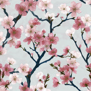White and Pink Cherry Blossom Floral Wallpaper design