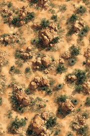 Earthy Desert Landscape Nature Wallpaper design