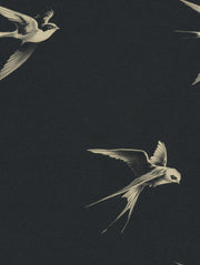 Charcoal Black Swallow Bird Motif Wallpaper design