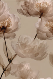 Beige Oversized Peony Floral Wallpaper design