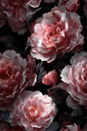 Dark Noir Pink Rose Floral Wallpaper design